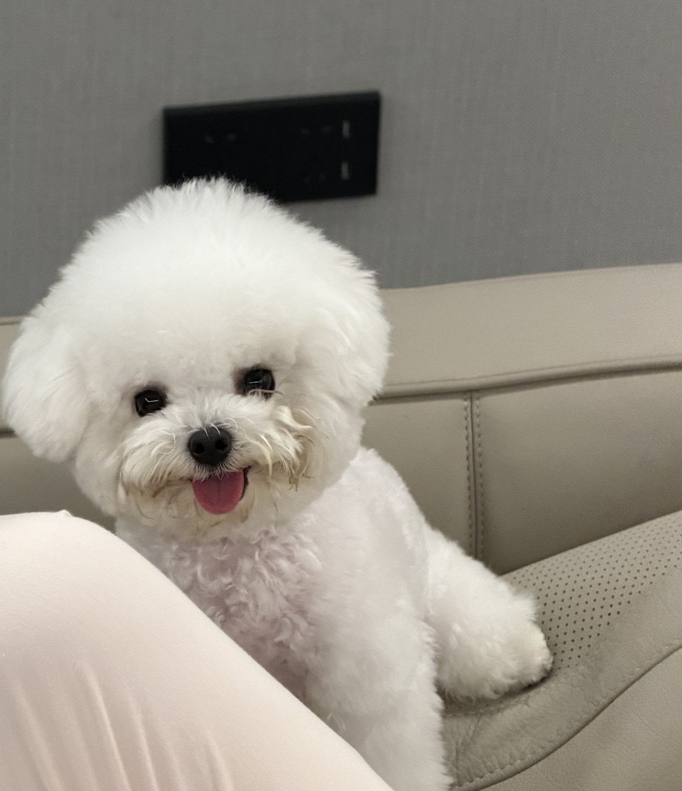 miumiu